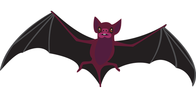 Cartoon Bat Spreading Wings PNG image