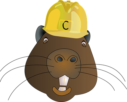 Cartoon Beaverin Hard Hat PNG image