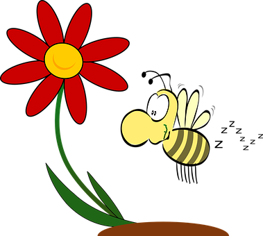 Cartoon Beeand Red Flower PNG image