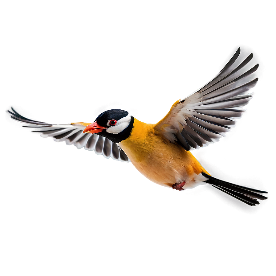 Cartoon Bird Flying Png 37 PNG image