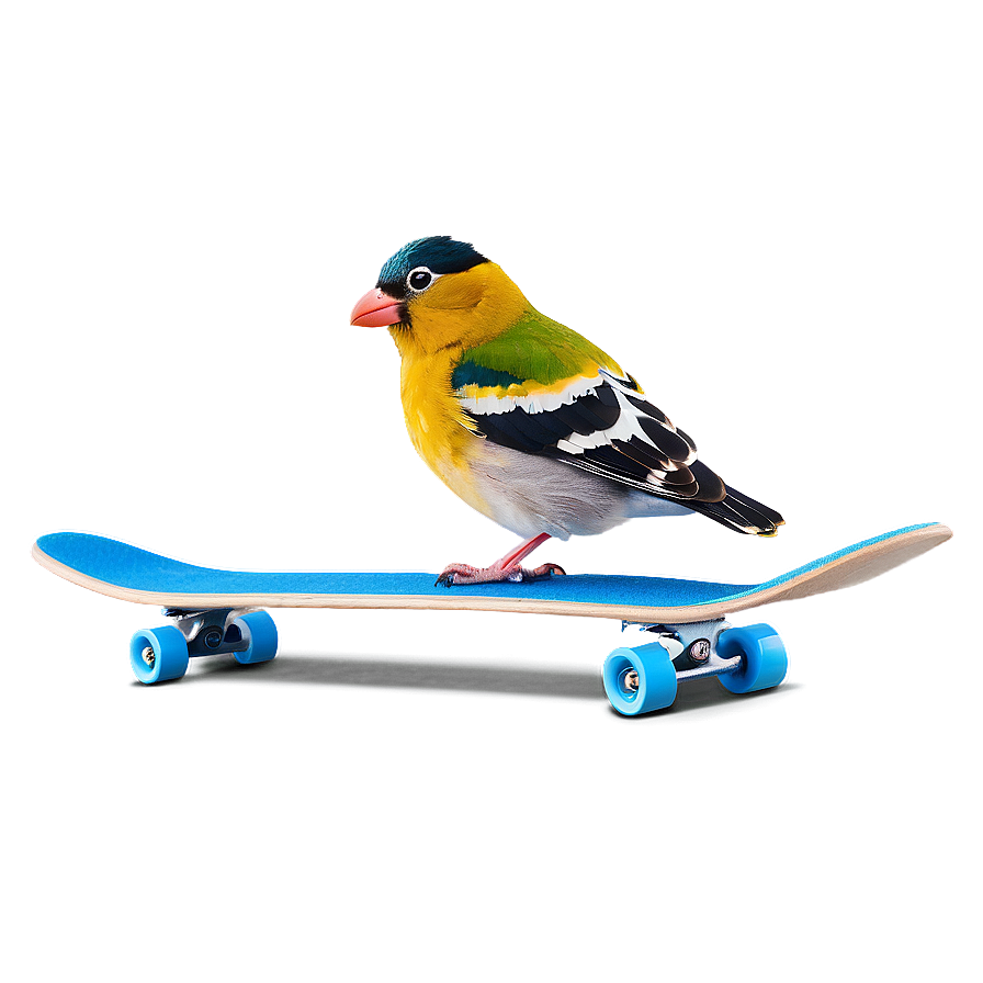 Cartoon Bird On Skateboard Png 94 PNG image