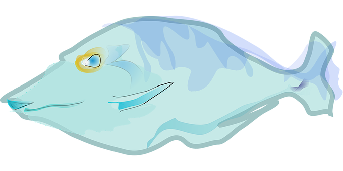 Cartoon Blue Fish Illustration PNG image