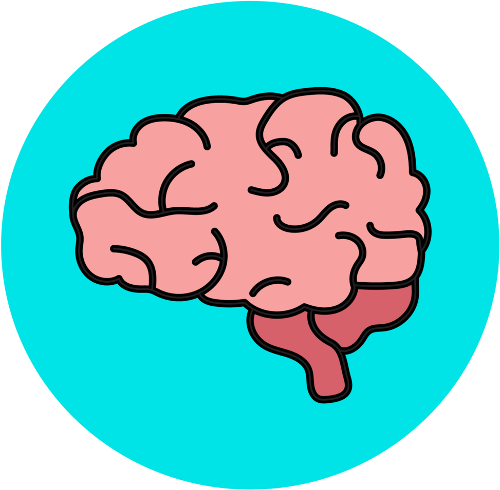 Cartoon Brain Illustration PNG image