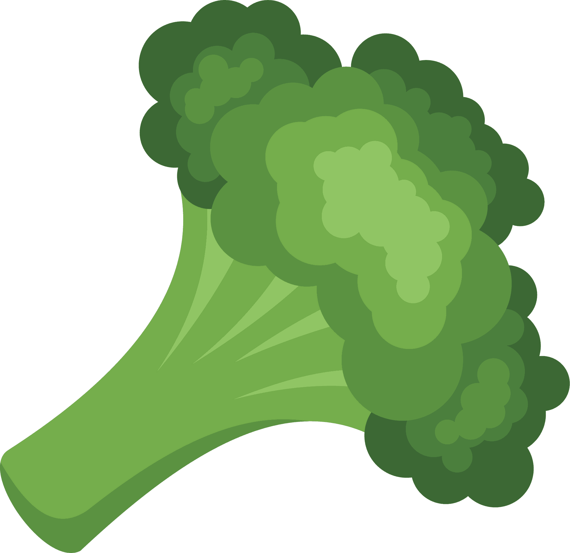 Cartoon Broccoli Graphic PNG image