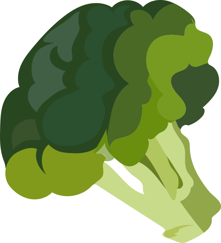 Cartoon Broccoli Illustration PNG image