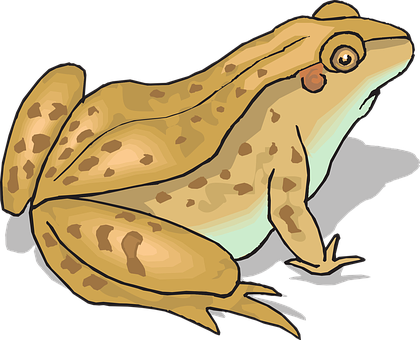 Cartoon Brown Frog Illustration PNG image