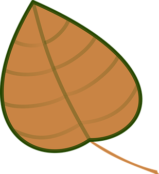 Cartoon Brown Leaf Graphic PNG image