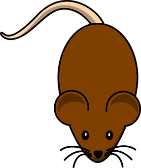 Cartoon Brown Rat Graphic PNG image