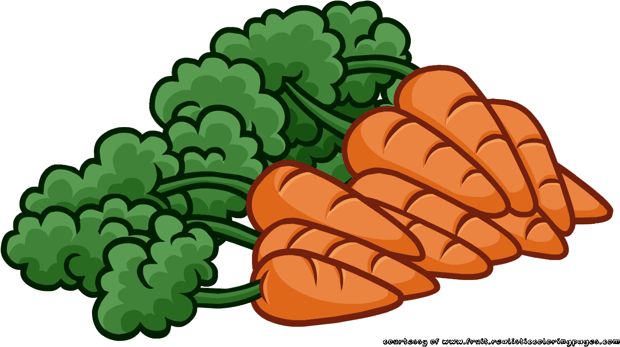 Cartoon Carrots Bunch Illustration PNG image