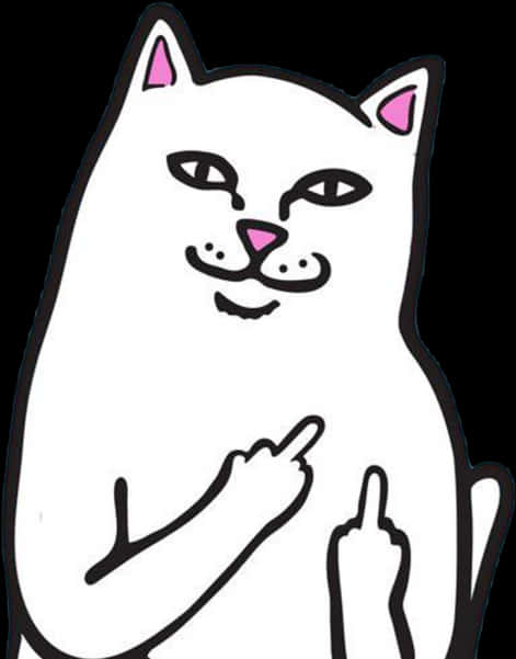 Cartoon Cat Giving Middle Finger PNG image