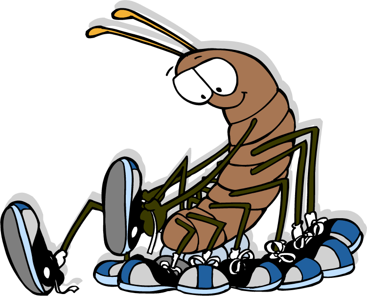 Cartoon Centipede With Shoes PNG image