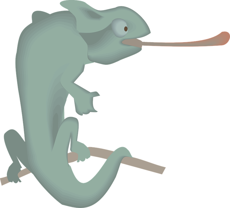 Cartoon Chameleon Extended Tongue PNG image