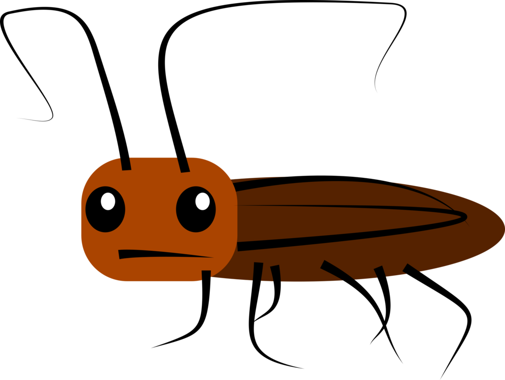 Cartoon Cockroach Illustration PNG image