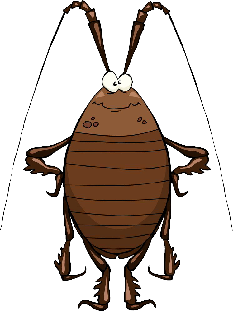 Cartoon Cockroach Standing PNG image