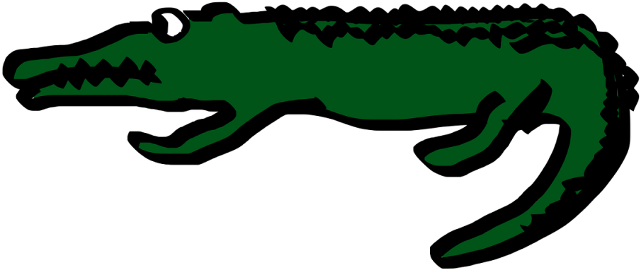 Cartoon Crocodile Illustration PNG image