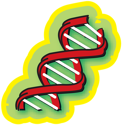 Cartoon D N A Helix PNG image