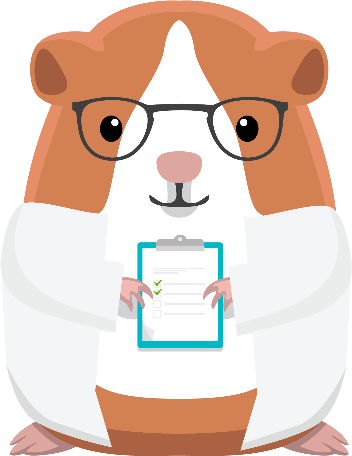 Cartoon Doctor Guinea Pig PNG image