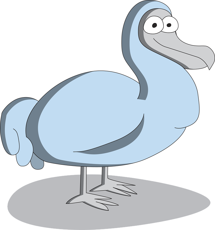 Cartoon Dodo Bird Illustration PNG image