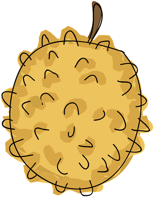 Cartoon Durian Fruit Illustration PNG image