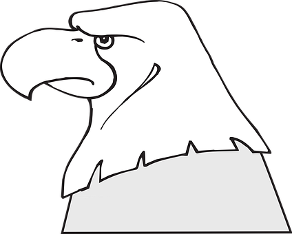Cartoon_ Eagle_ Head_ Vector PNG image