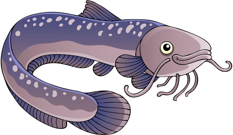 Cartoon Eel Illustration PNG image