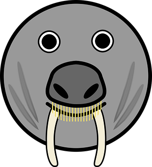 Cartoon Elephant Face Graphic PNG image