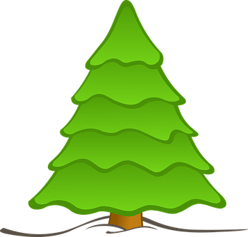 Cartoon Evergreen Tree Graphic PNG image