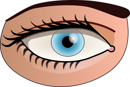 Cartoon Eye Illustration PNG image