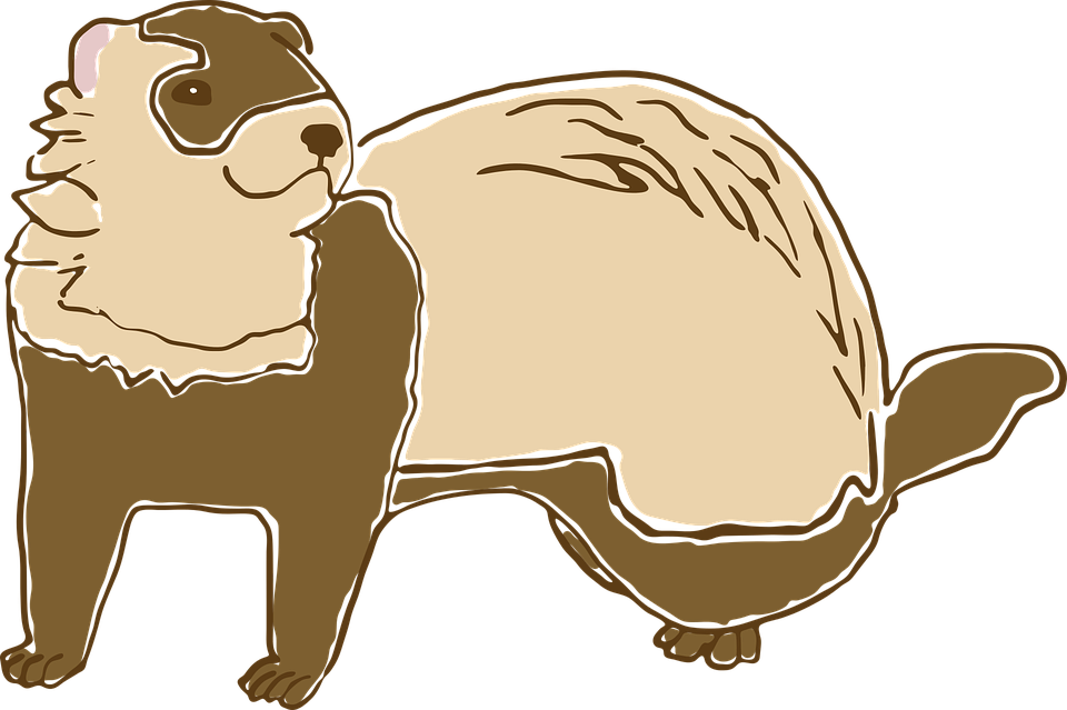 Cartoon Ferret Standing PNG image