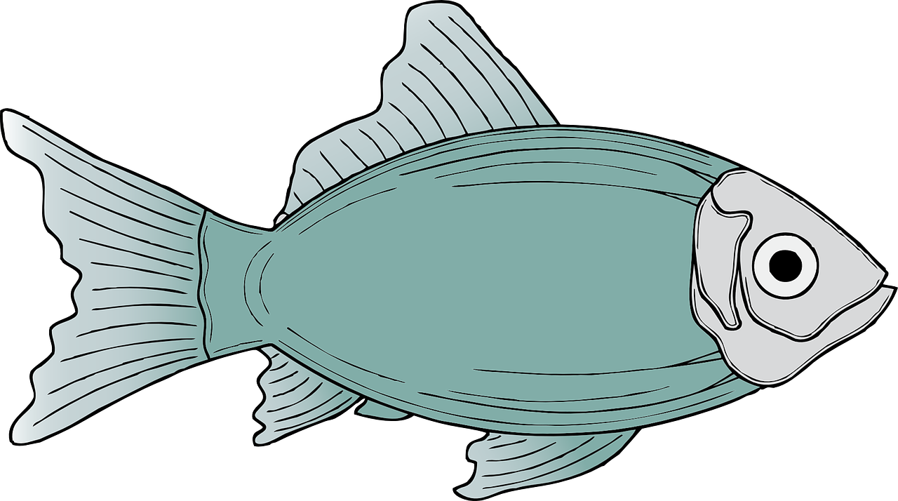 Cartoon Fish Illustration PNG image