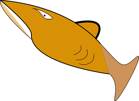 Cartoon Fish Illustration PNG image