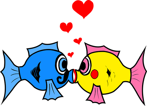 Cartoon Fish Kissing Love Illustration PNG image