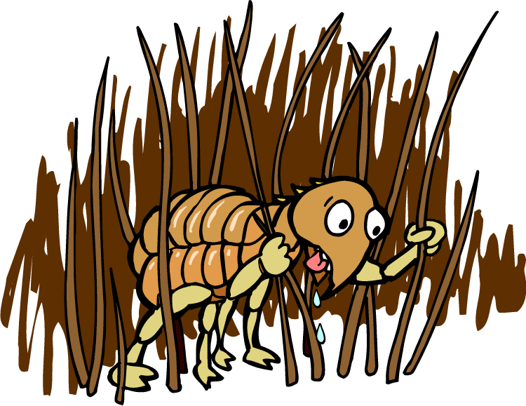 Cartoon Flea In Grass PNG image