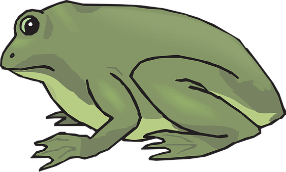 Cartoon Frog Side View Illustration PNG image