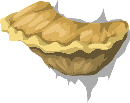 Cartoon Fungus Illustration PNG image