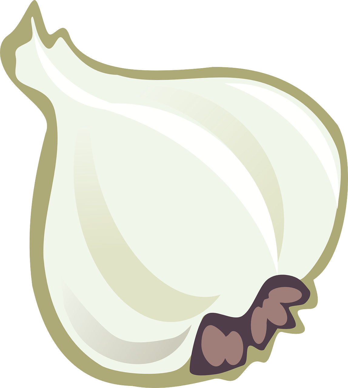 Cartoon Garlic Illustration PNG image