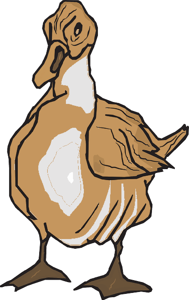 Cartoon Goose Standing Profile PNG image