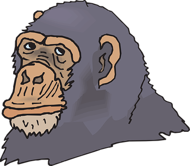 Cartoon Gorilla Profile Illustration PNG image