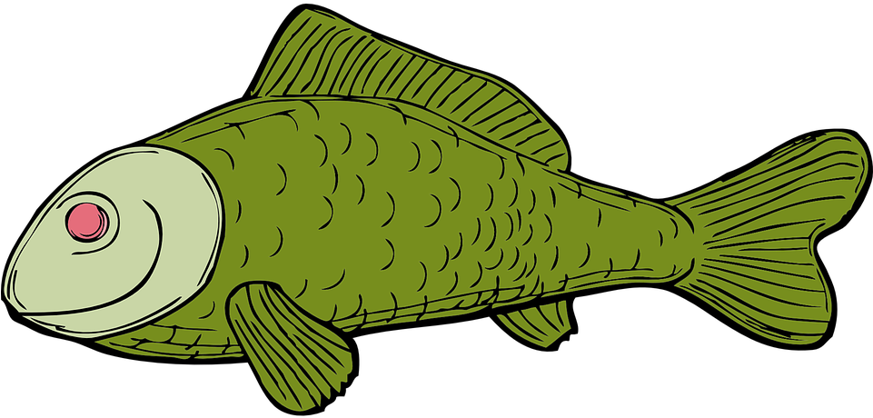 Cartoon Green Fish Illustration PNG image