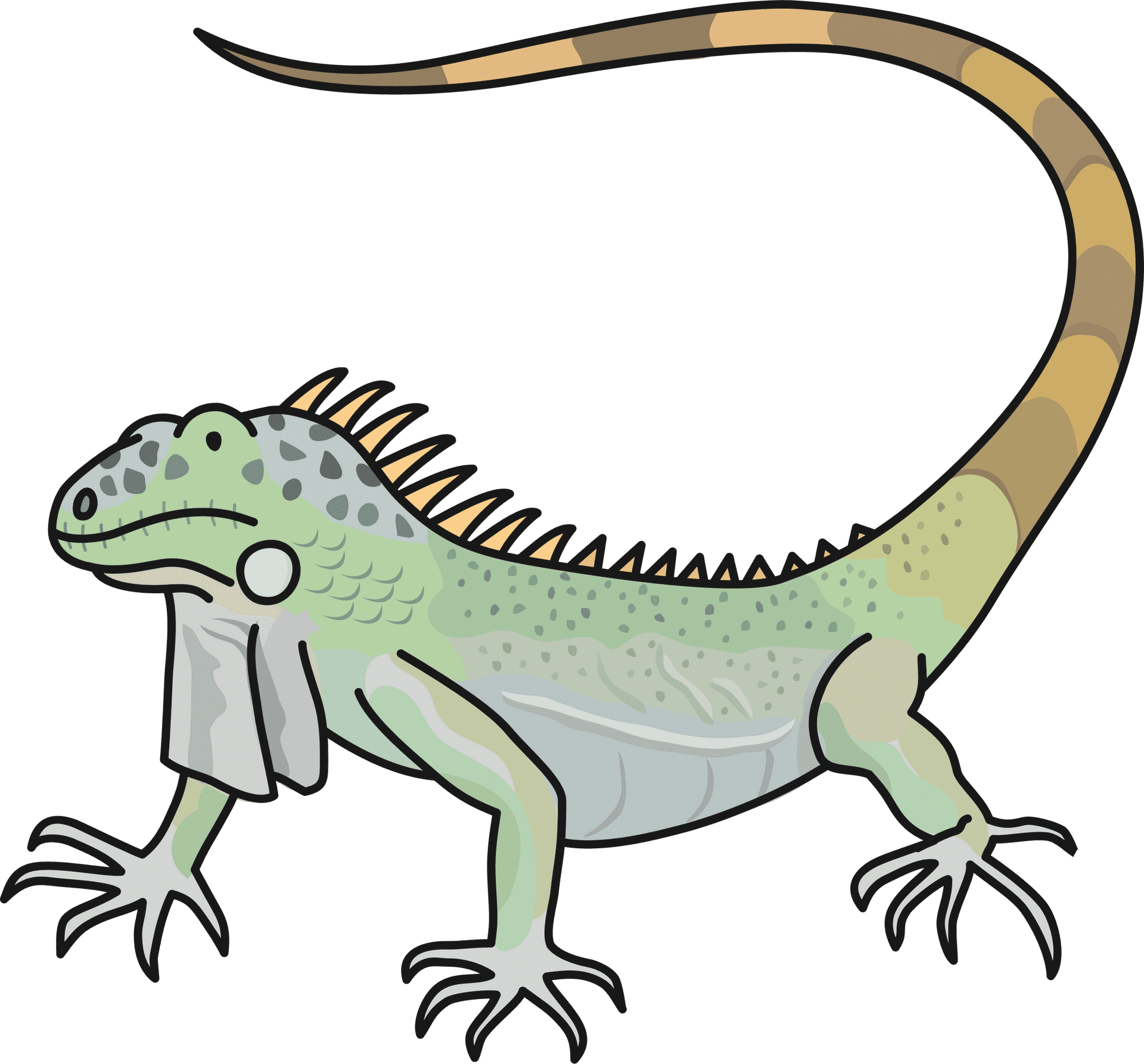 Cartoon Green Iguana Illustration PNG image