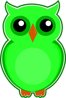 Cartoon Green Owl PNG image