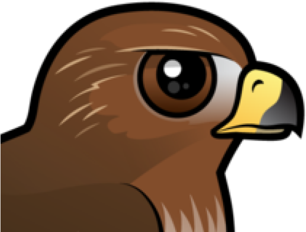 Cartoon Hawk Profile PNG image