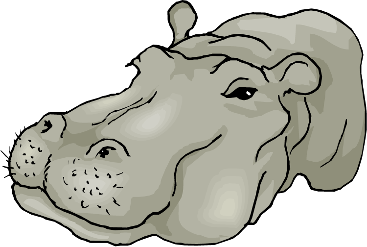 Cartoon Hippopotamus Head Illustration PNG image