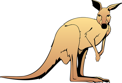 Cartoon Kangaroo Vector PNG image