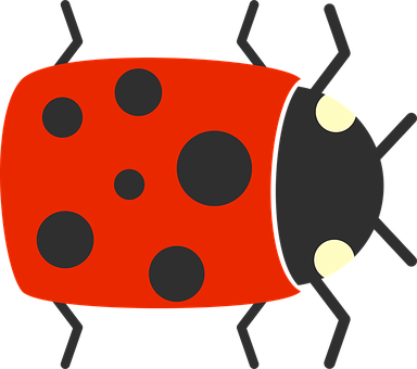 Cartoon Ladybug Illustration PNG image