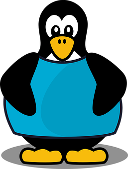 Cartoon Linux Penguin Graphic PNG image