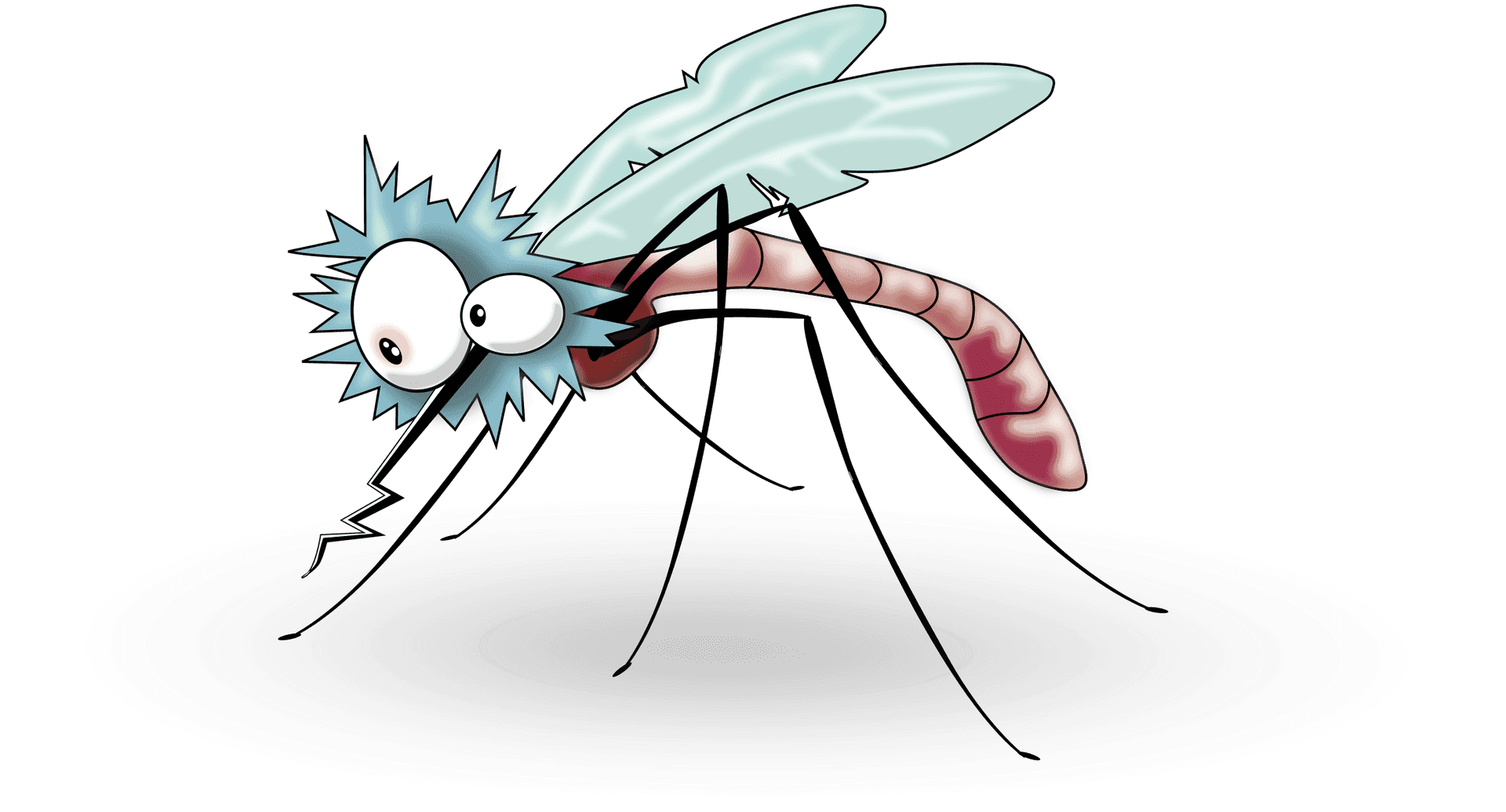 Cartoon Mosquito Illustration PNG image