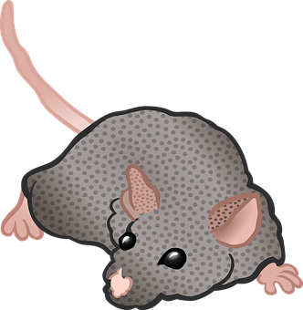 Cartoon Mouse Graphic PNG image