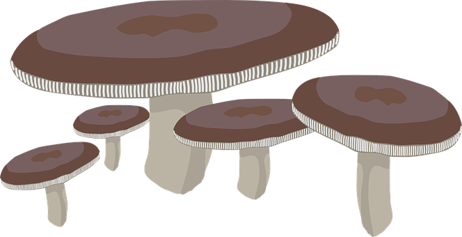 Cartoon Mushroom Family PNG image