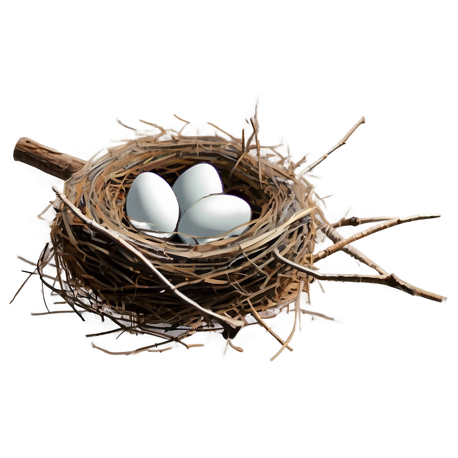 Cartoon Nest Drawing Png Nis PNG image